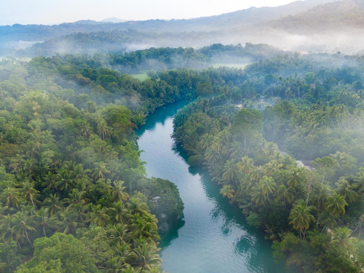 Fox & The Firefly Cottages Loboc Exteriör bild