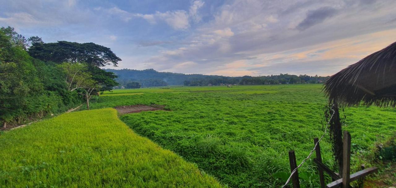 Fox & The Firefly Cottages Loboc Exteriör bild