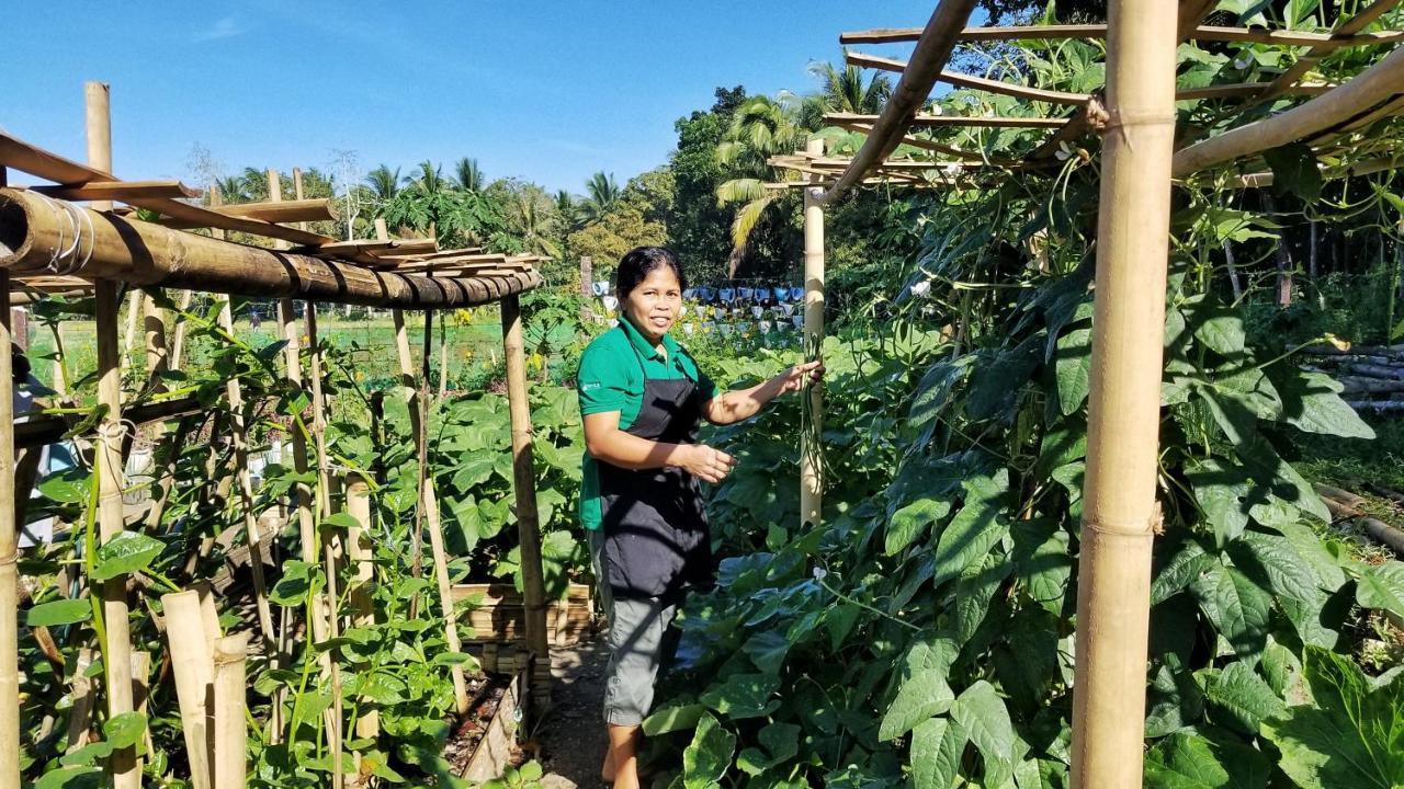 Fox & The Firefly Cottages Loboc Exteriör bild