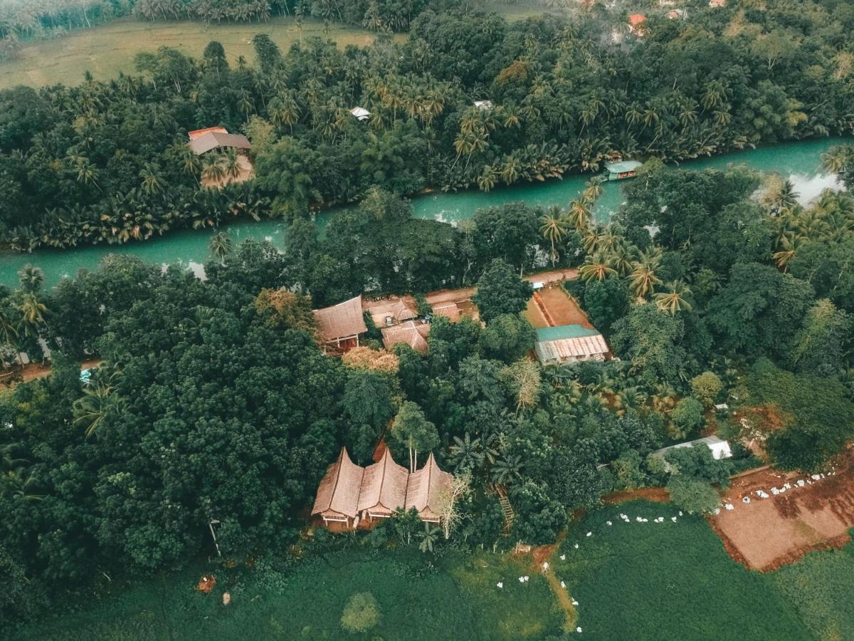 Fox & The Firefly Cottages Loboc Exteriör bild